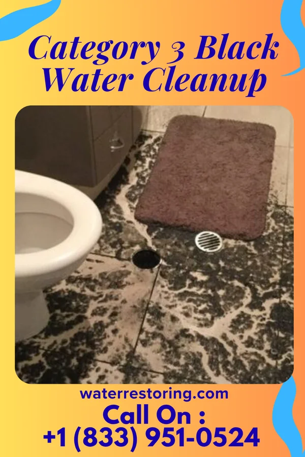 Category 3 Black Water Cleanup in Smithville, AR