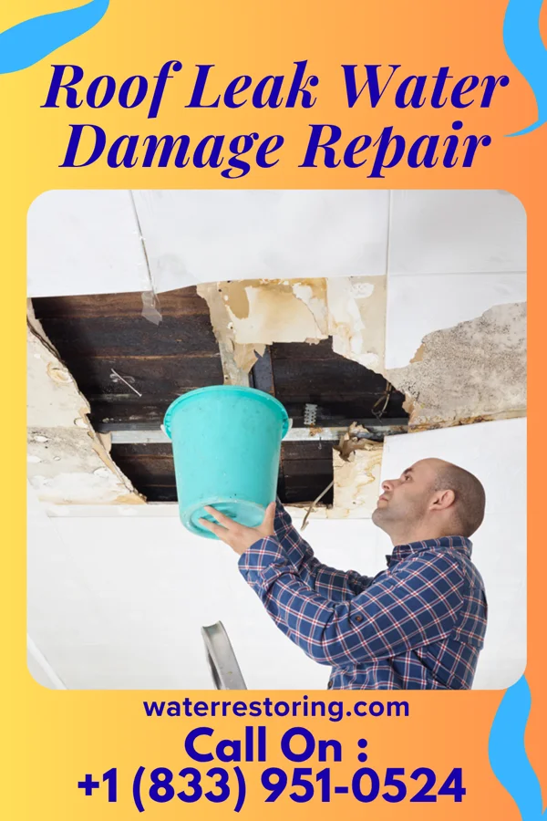 Roof Leak Water Damage Repair in Smithville, AR